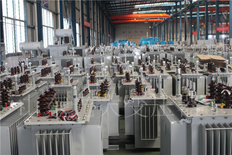 清水河S22-800KVA/10KV